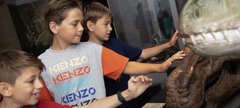 Children in the Museum